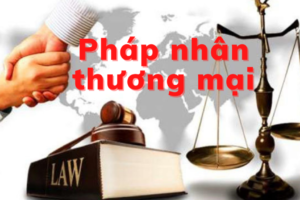 Pháp nhân thương mại phạm tội thì xử  lý như thế nào?