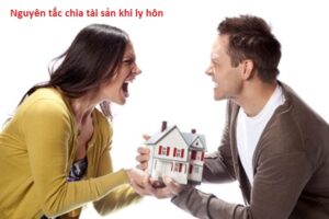 Nguyên tắc phân chia tài sản khi ly hôn